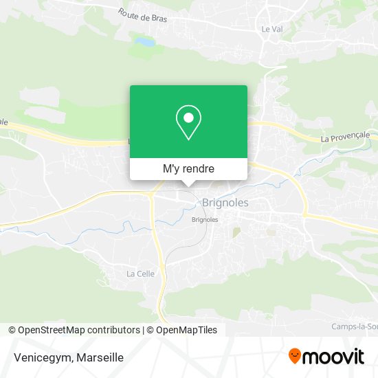 Venicegym plan