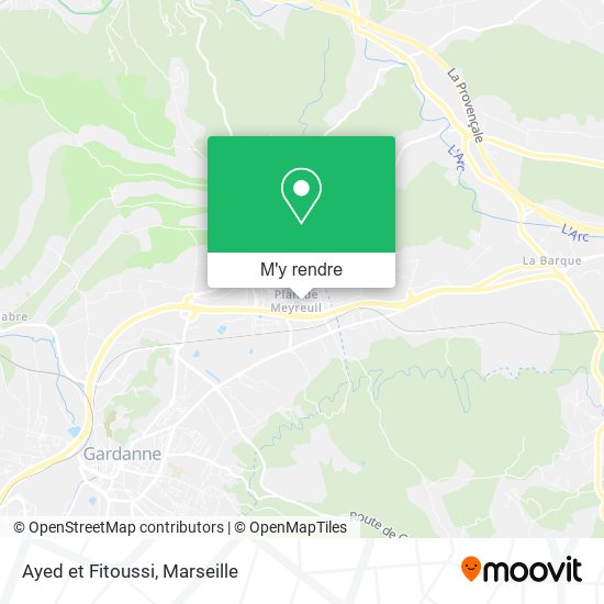 Ayed et Fitoussi plan