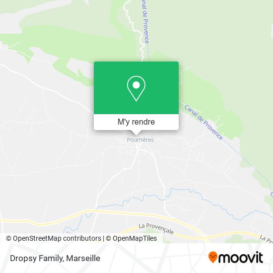 Dropsy Family plan