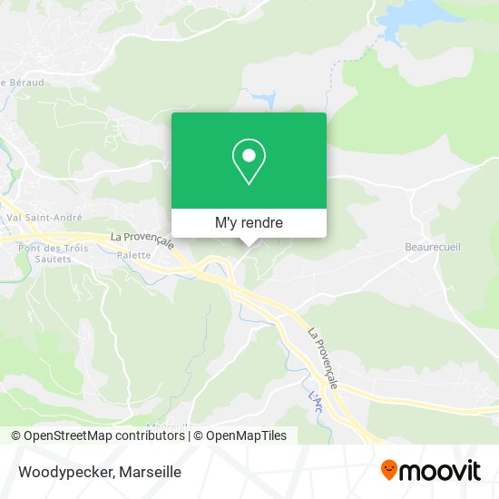 Woodypecker plan