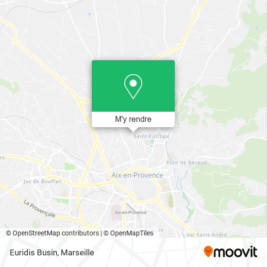 Euridis Busin plan