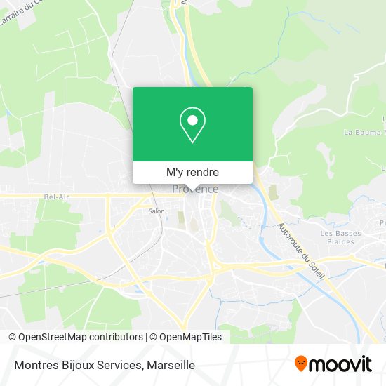 Montres Bijoux Services plan