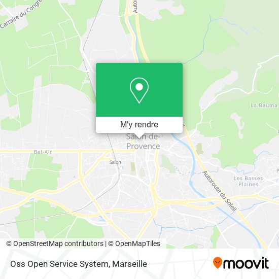 Oss Open Service System plan
