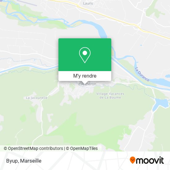 Byup plan