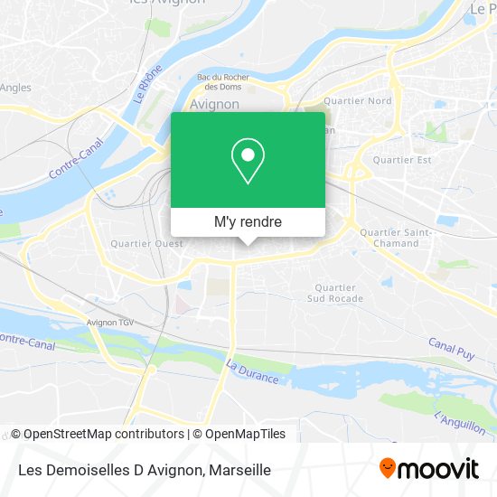 Les Demoiselles D Avignon plan