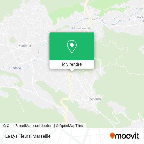 Le Lys Fleurs plan