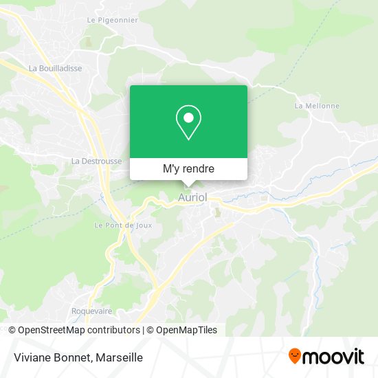 Viviane Bonnet plan