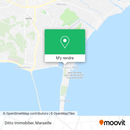 Ditto Immobilier plan