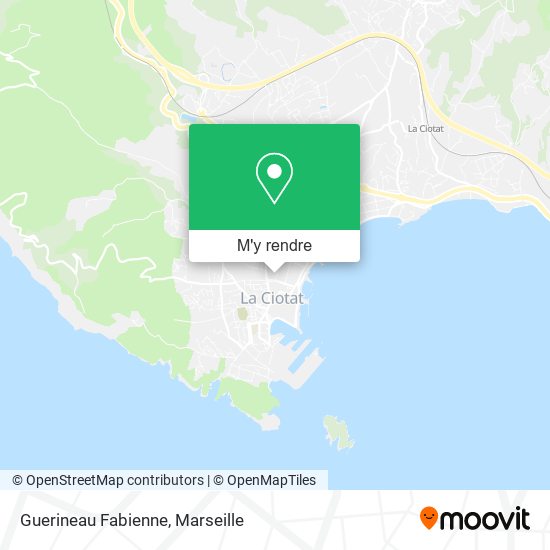 Guerineau Fabienne plan