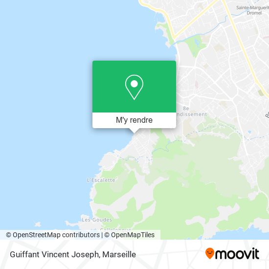 Guiffant Vincent Joseph plan
