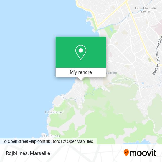 Rojbi Ines plan
