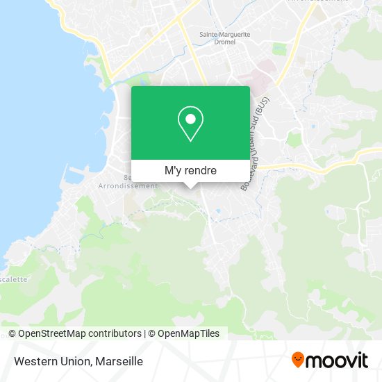 Western Union plan
