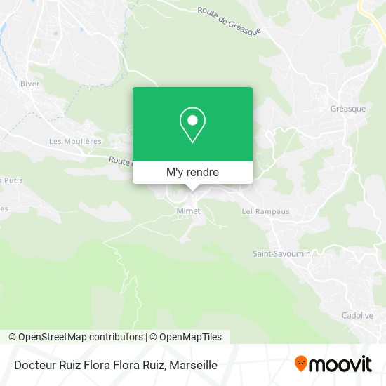 Docteur Ruiz Flora Flora Ruiz plan