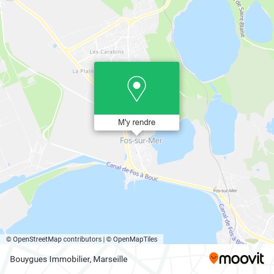 Bouygues Immobilier plan