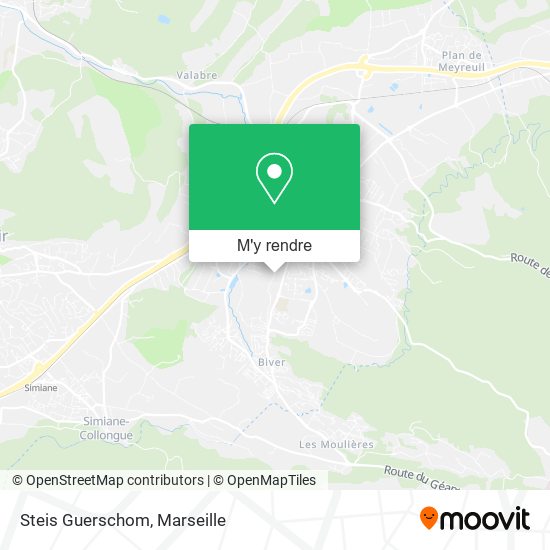 Steis Guerschom plan