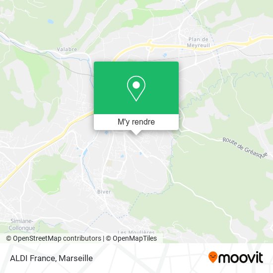 ALDI France plan