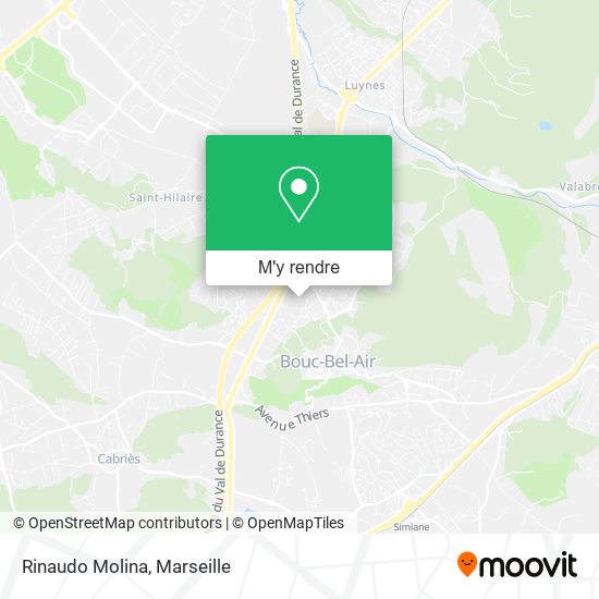 Rinaudo Molina plan