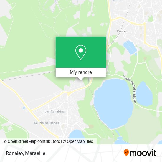 Ronalev plan
