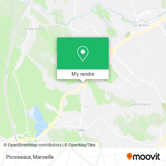 Picoiseaux plan