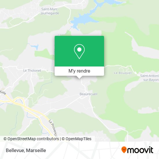 Bellevue plan