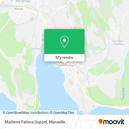 Madame Fatima Dupont plan