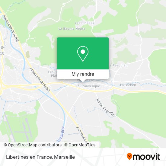 Libertines en France plan