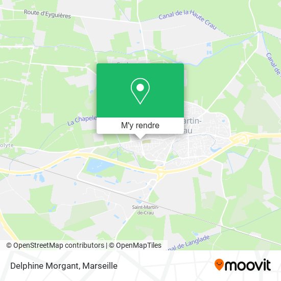 Delphine Morgant plan