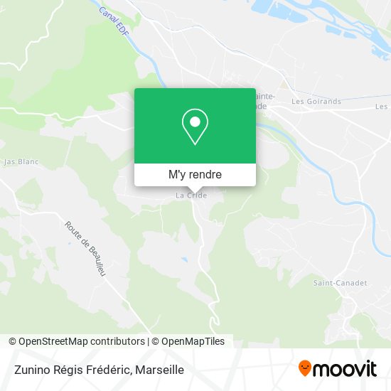 Zunino Régis Frédéric plan
