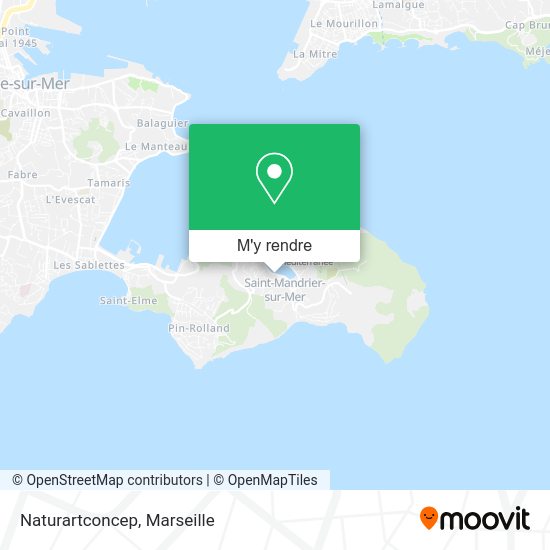 Naturartconcep plan