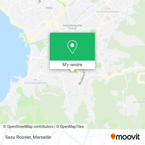 Sasu Rouvier plan