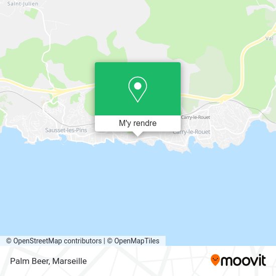 Palm Beer plan