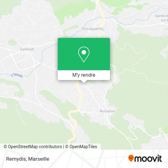 Remydis plan