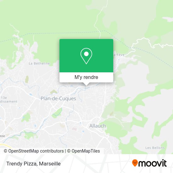 Trendy Pizza plan