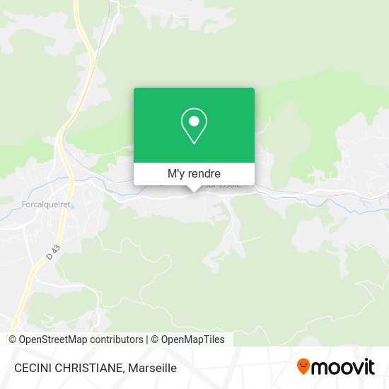 CECINI CHRISTIANE plan