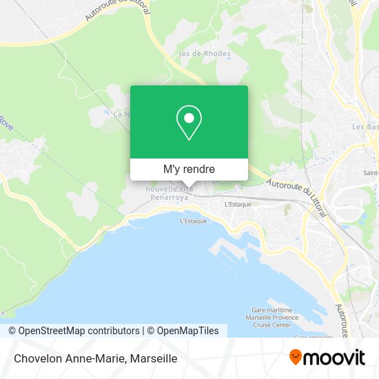 Chovelon Anne-Marie plan