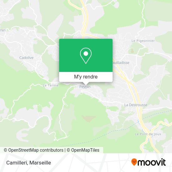 Camilleri plan