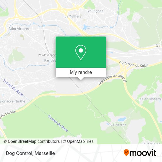 Dog Control plan