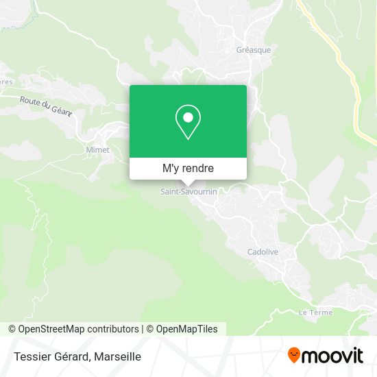 Tessier Gérard plan