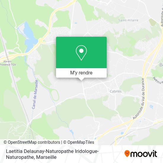 Laetitia Delaunay-Naturopathe Iridologue-Naturopathe plan