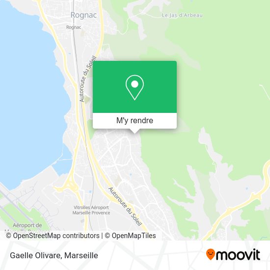 Gaelle Olivare plan