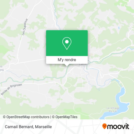 Camail Bernard plan