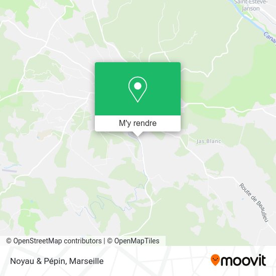 Noyau & Pépin plan