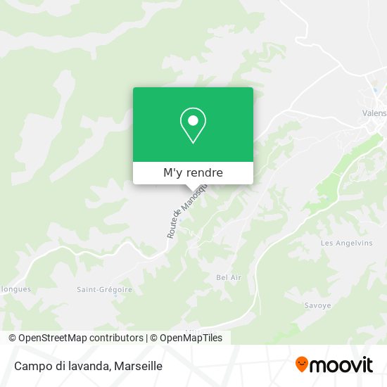 Campo di lavanda plan