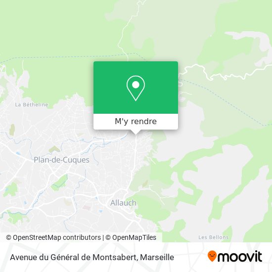 Avenue du Général de Montsabert plan