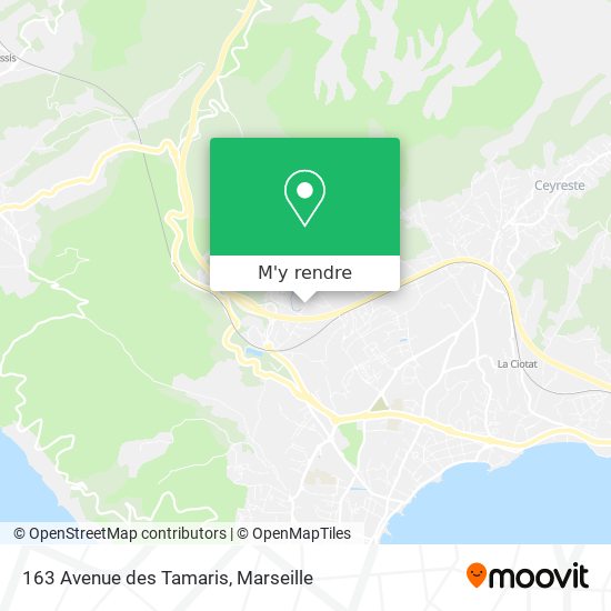163 Avenue des Tamaris plan