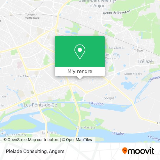 Pleiade Consulting plan