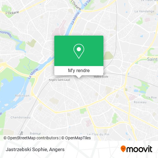 Jastrzebski Sophie plan
