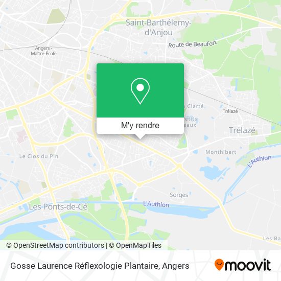 Gosse Laurence Réflexologie Plantaire plan