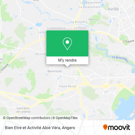 Bien Etre et Activité Aloé Véra plan
