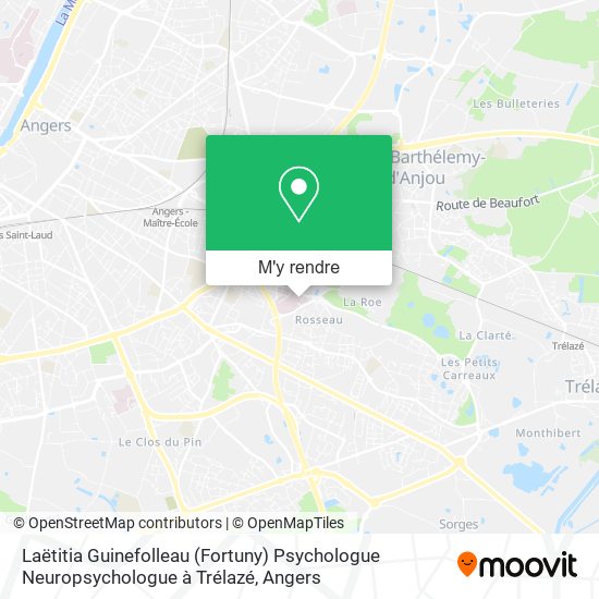 Laëtitia Guinefolleau (Fortuny) Psychologue Neuropsychologue à Trélazé plan